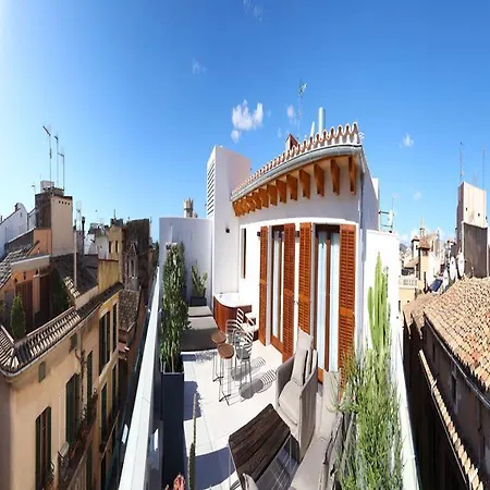 Bo 4* Palma de Mallorca